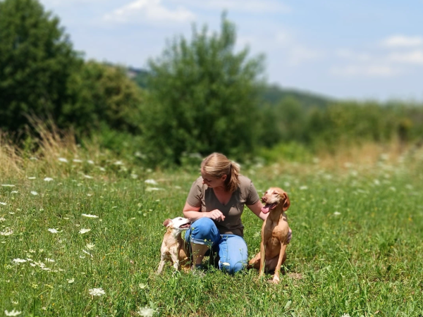 Nachhaltige Begleitung und Entwicklung Hundetraining